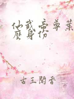 仙武帝尊叶辰什么身份