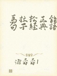 马拉松正能量的句子经典语句
