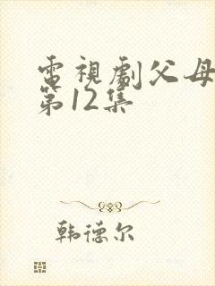 电视剧父母爱情第12集