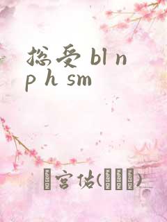 总受 bl np h sm