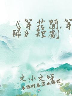 《等花开,等你归》短剧
