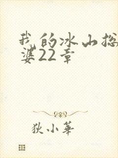 我的冰山总裁老婆22章