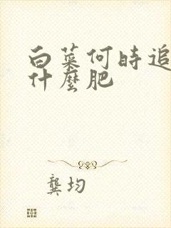 白菜何时追肥追什么肥