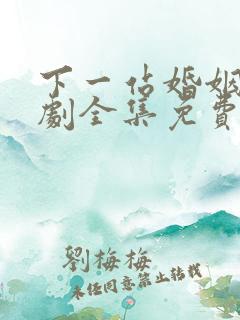 下一站婚姻电视剧全集免费观看