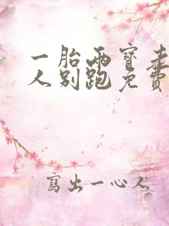 一胎两宝老婆大人别跑免费阅读全文