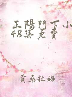 正阳门下小女人48集免费