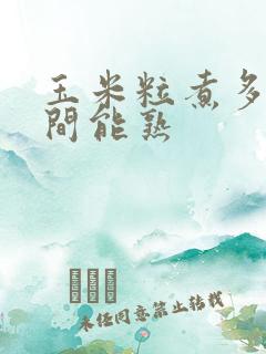 玉米粒煮多长时间能熟