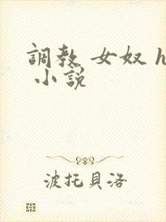 调教 女奴 h 小说