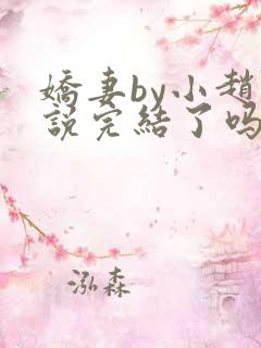 娇妻by小赵小说完结了吗