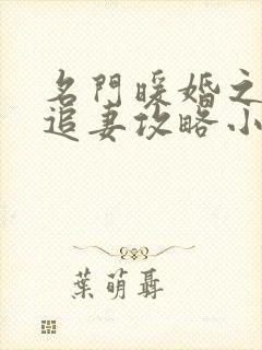 名门暖婚之权爷追妻攻略小说