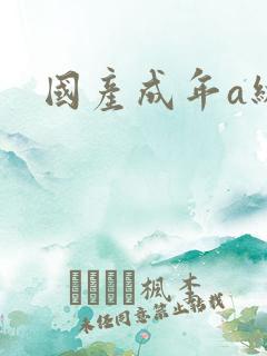 国产成年a级片