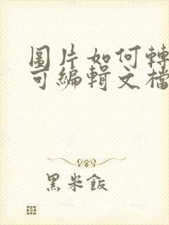 图片如何转化为可编辑文档