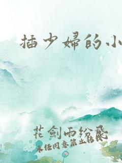 插少妇的小说