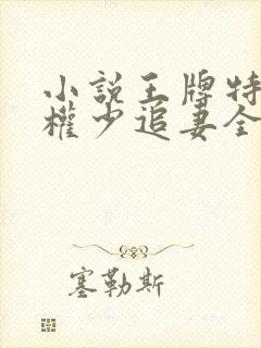 小说王牌特战之权少追妻全文阅读