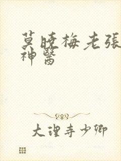莫晓梅老张小说神医