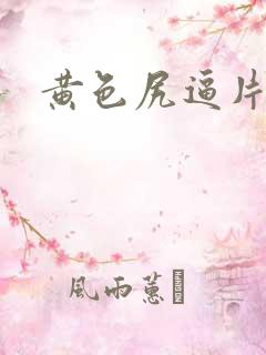 黄色尻逼片