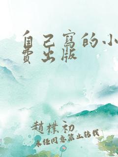 自己写的小说自费出版