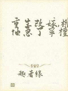 重生改嫁,权臣他急了宁檀宗俭小说