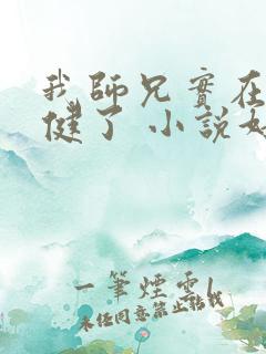 我师兄实在太稳健了 小说好看吗