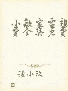 小敏家电视剧免费全集免费播放