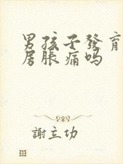 男孩子发育会乳房胀痛吗