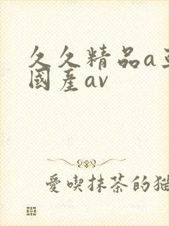 久久精品a亚洲国产av