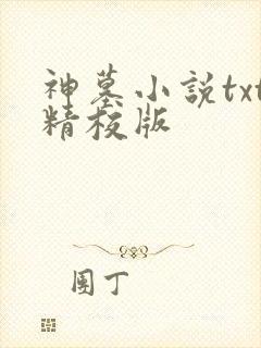 神墓小说txt精校版