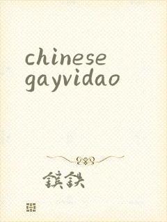chinesegayvidao