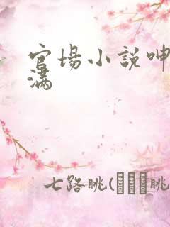官场小说呻吟丰满