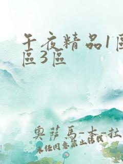午夜精品1区2区3区