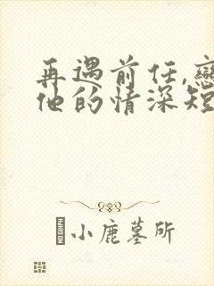 再遇前任,恋上他的情深短剧免费观看全集