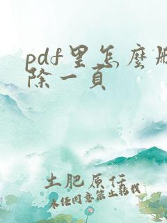 pdf里怎么删除一页