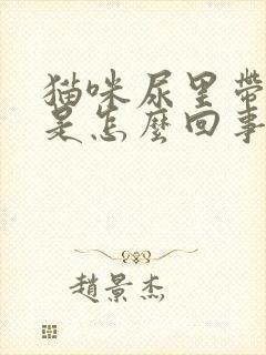 猫咪尿里带血丝是怎么回事