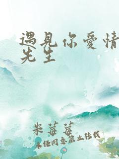 遇见你爱情的利先生