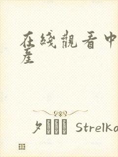 在线观看中文日产