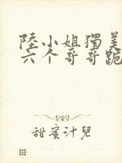 陆小姐独美后,六个哥哥跪求原谅小说