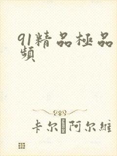 91精品极品视频
