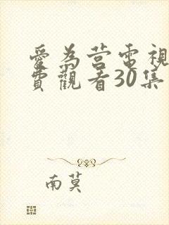 爱为营电视剧免费观看30集