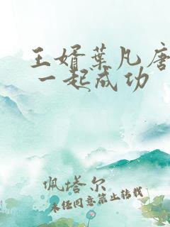 王婿叶凡唐若雪 一起成功