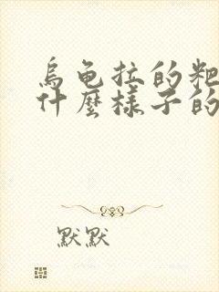 乌龟拉的粑粑是什么样子的