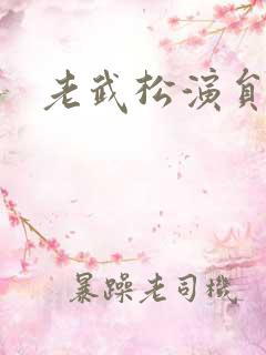 老武松演员