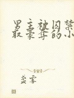 男主被囚禁被强取豪夺的小说