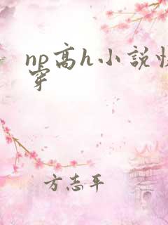 np高h小说快穿