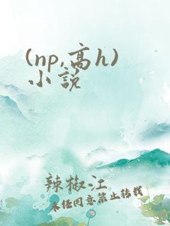 (np,高h)小说