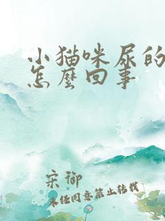 小猫咪尿的尿黄怎么回事