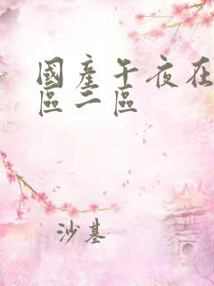 国产午夜在线一区二区