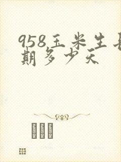 958玉米生长期多少天