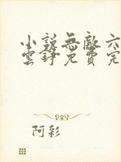 小说无敌六皇子云铮免费完本