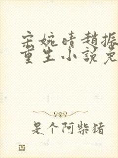 宋婉晴赵振国的重生小说免费阅读全文