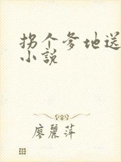 拐个爹地送妈咪小说